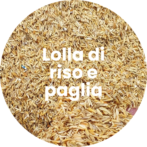 Lolla di riso e paglia è uno dei composti per le costruzioni in Bioedilizia.